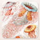 Search for biology barware Ernst haeckel