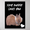 Search for love bunnies posters Baby
