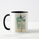 Search for curative mugs Healing