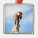 Search for standing christmas tree decorations Wildlife