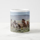 Search for pinto horses mugs Mustang
