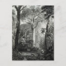 Search for brazilian postcards 19th