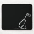 Search for animal xrays Bones