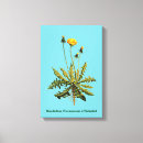 Search for herb canvas prints Flora