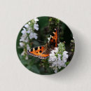 Search for white butterfly badges Butterflies