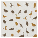 Search for dragonfly pattern fabric Bug