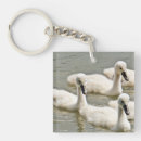 Search for white swan key rings Lake