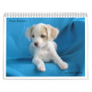 Search for rescue dog calendars Puppies