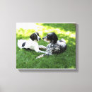 Search for english pointer art Hunting