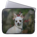 Search for shoulder cases Bob and pam langrish