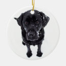 Search for black lab christmas decor Puppy