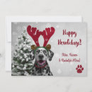 Search for funny dog christmas cards Handwritten