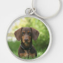 Search for dachshund pictures key rings Pet