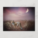 Search for spiritual postcards Dreams