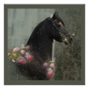 Search for black friesian horse posters Horses