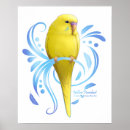 Search for parakeet posters Birds