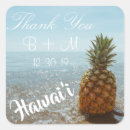 Search for tropical pineapple stickers Ocean