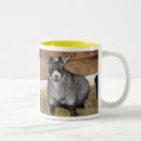 Search for pygmy goat mugs Animal