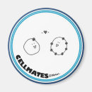 Search for electronic magnets Nerd