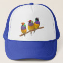 Search for pastels hats Wildlife