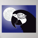 Search for ara posters Bird