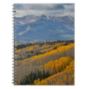 Search for aspen notebooks Forest