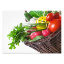 Search for radish art Garden