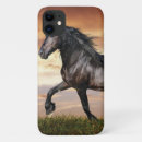 Search for black horse cases Animal