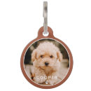 Search for paws pet supplies Dogs