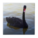 Search for swan tiles River