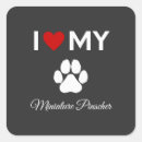 Search for miniature pinscher stickers Puppy