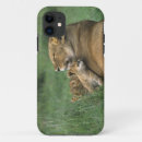 Search for panthera leo iphone cases Mammal