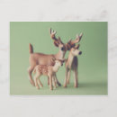 Search for dear postcards Photography
