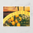 Search for vintage oranges postcards Travel