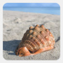 Search for sea shells stickers Beach