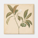 Search for deco magnets Panels