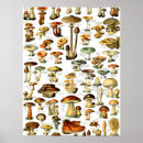 Search for toadstool art Pattern