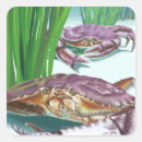 Search for state of origin stickers Collection