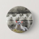 Search for flock badges Sheep