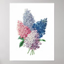 Search for lilac bushes posters Purple