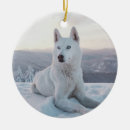 Search for white husky christmas tree decorations Pet