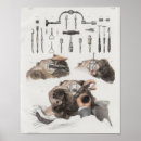 Search for surgical art Anatomy