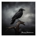 Search for crow art Black bird