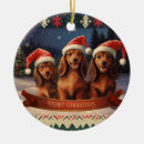 Search for dachshund christmas decor Puppy