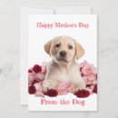 Search for pet mothers day cards Dog lover