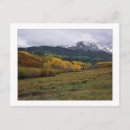Search for high country postcards Trees