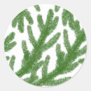 Search for fir stickers Xmas