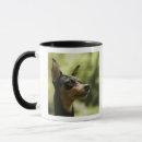 Search for back yard mugs Outdoors