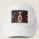 Search for spaniel hats English springer spaniel