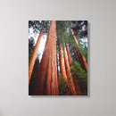 Search for frank canvas prints Blue